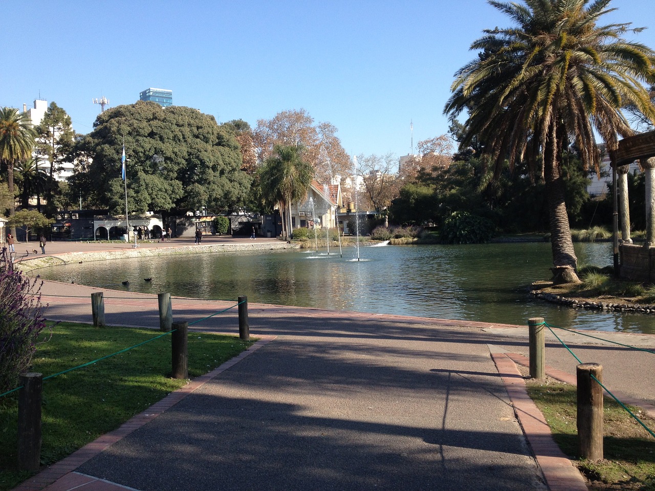 lake palm tree landscape free photo