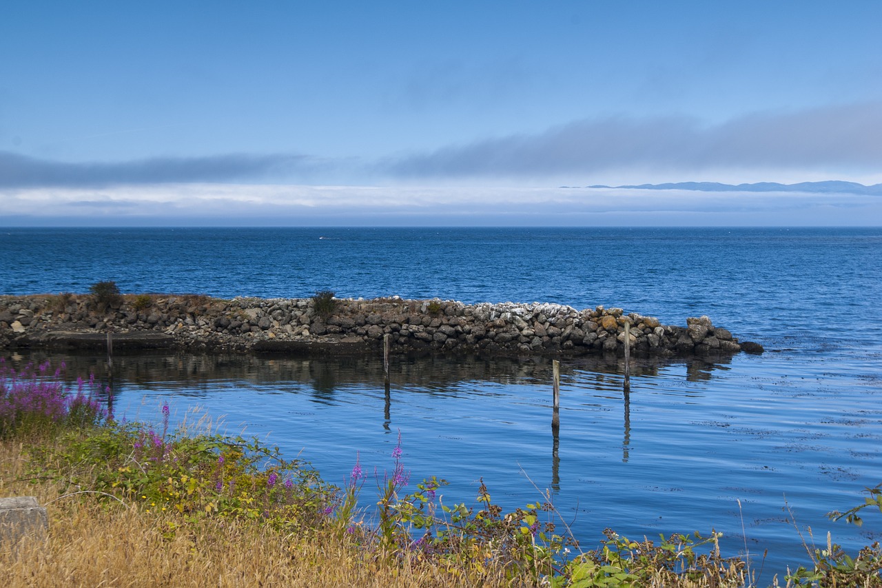 lake water the scenery free photo