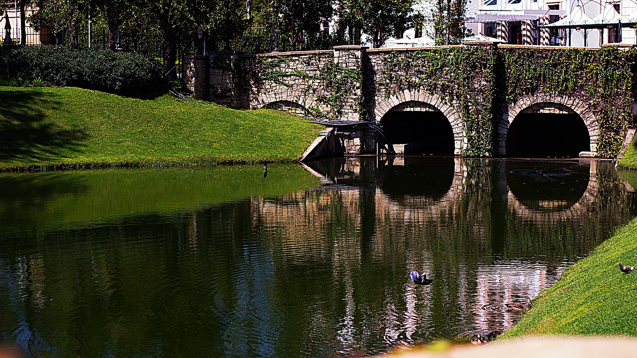 lake water nature free photo