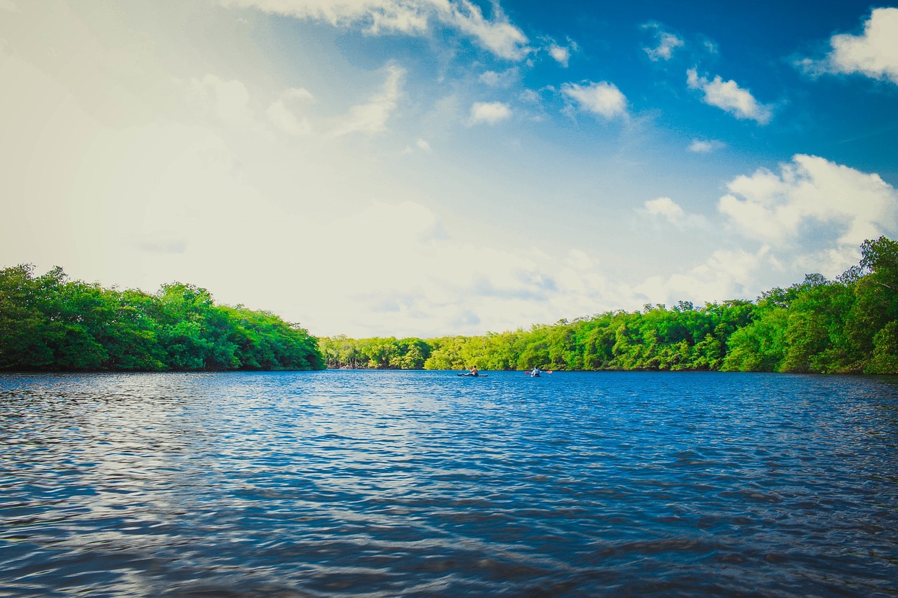 lake water sunshine free photo