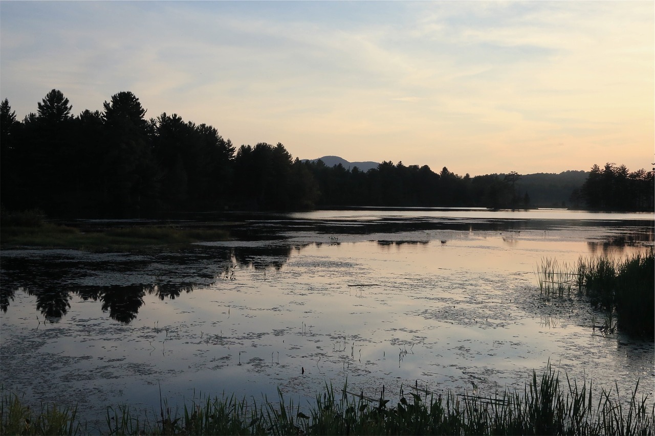 lake sunset forest free photo