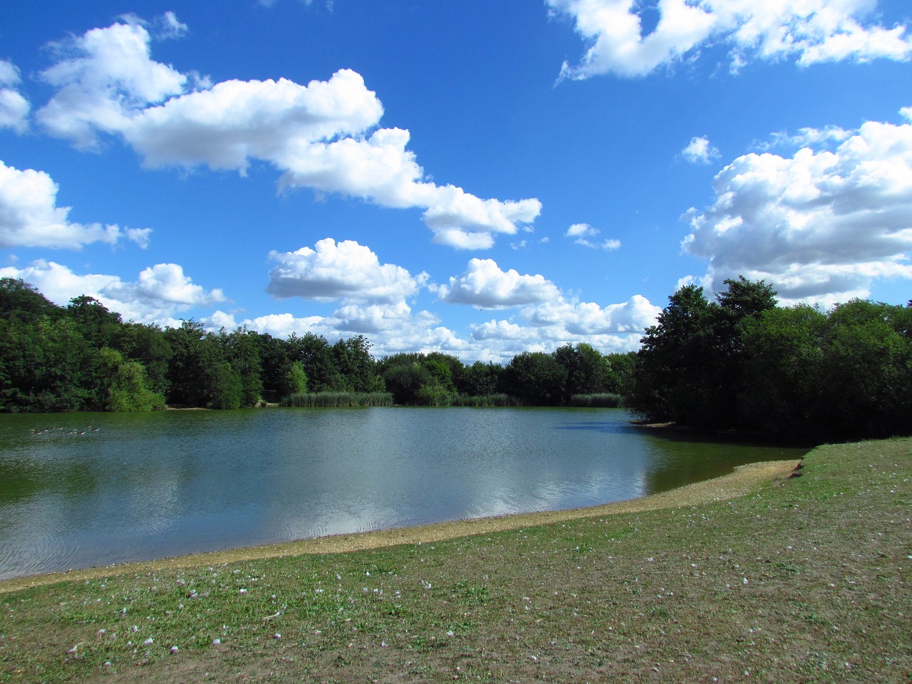 lake water summer free photo