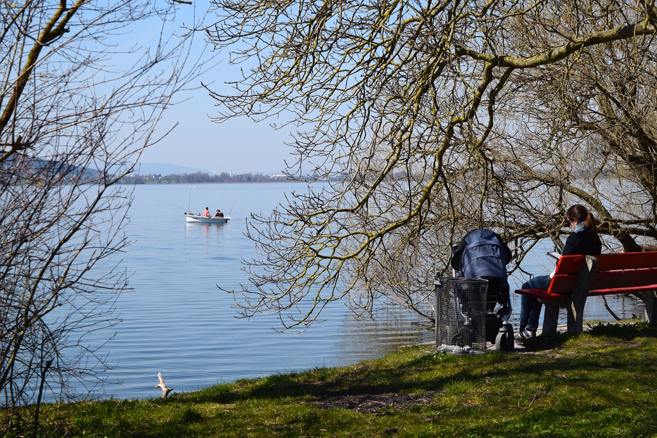 lake bank fishing boat free photo