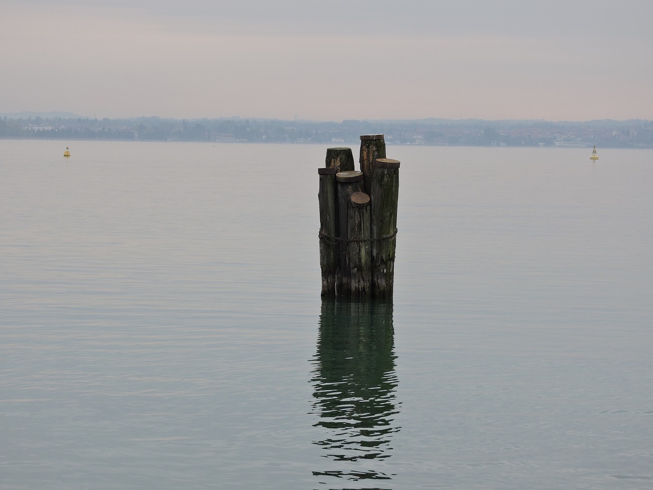 lake trunk water free photo