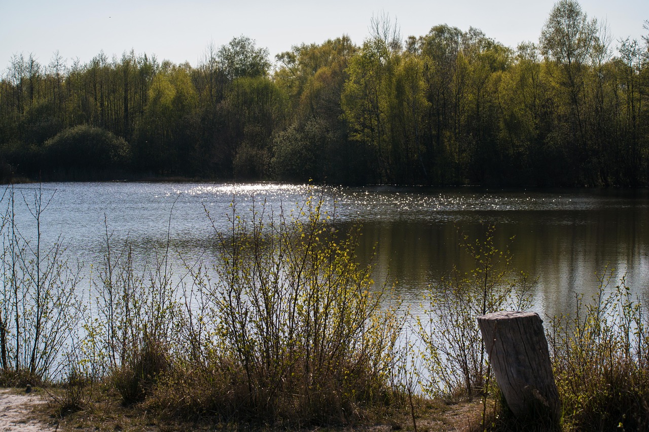 lake tongrube wahner pagan free photo