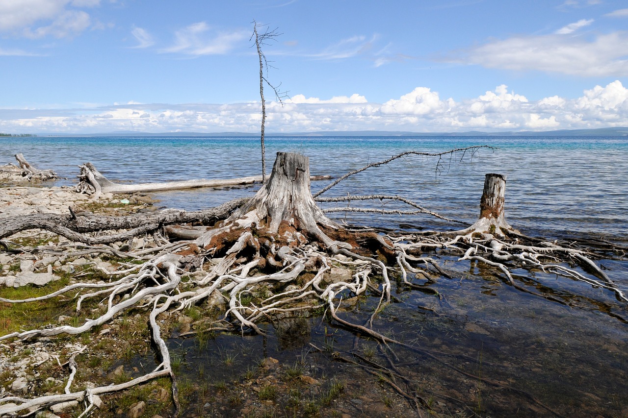 lake mongolia khuvsgul free photo