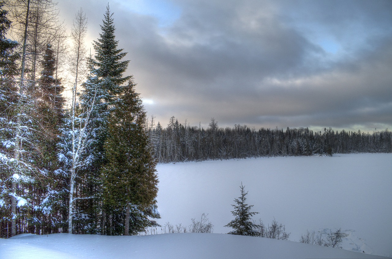 lake snow winter free photo