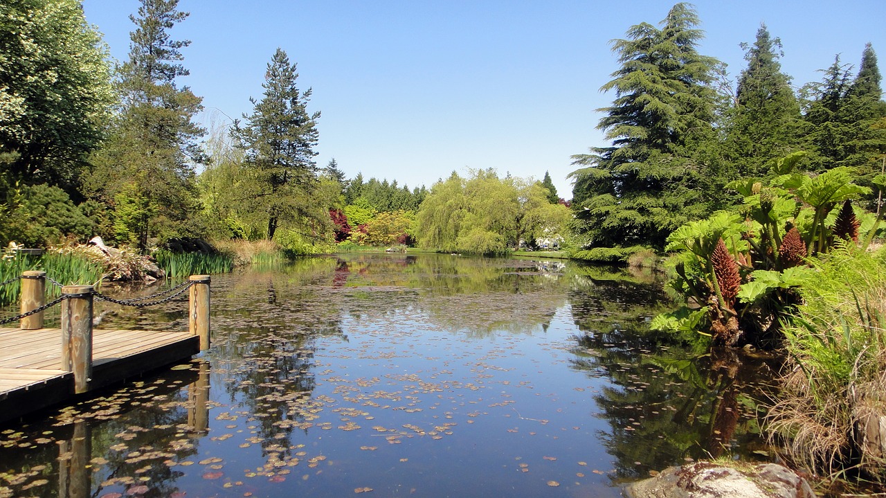 lake water garden free photo