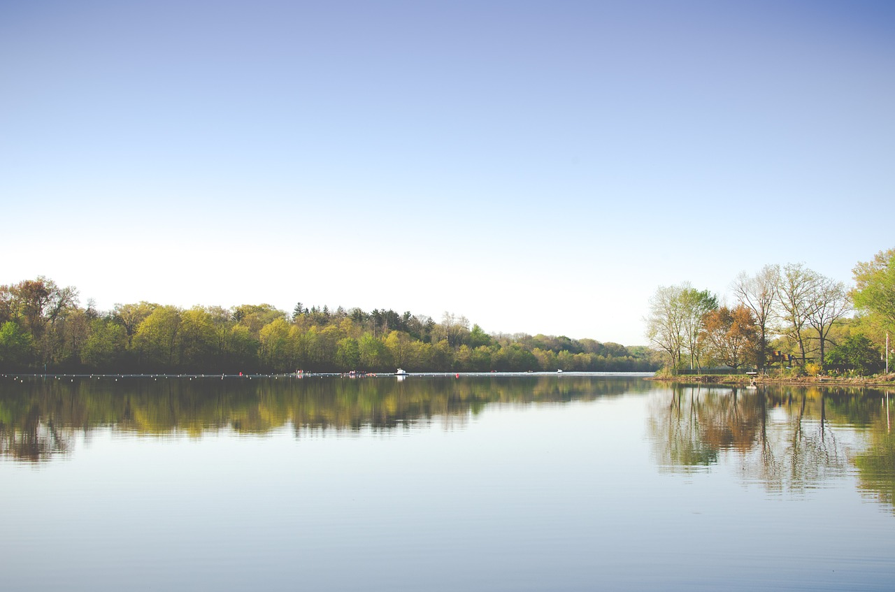 lake trees reflection free photo