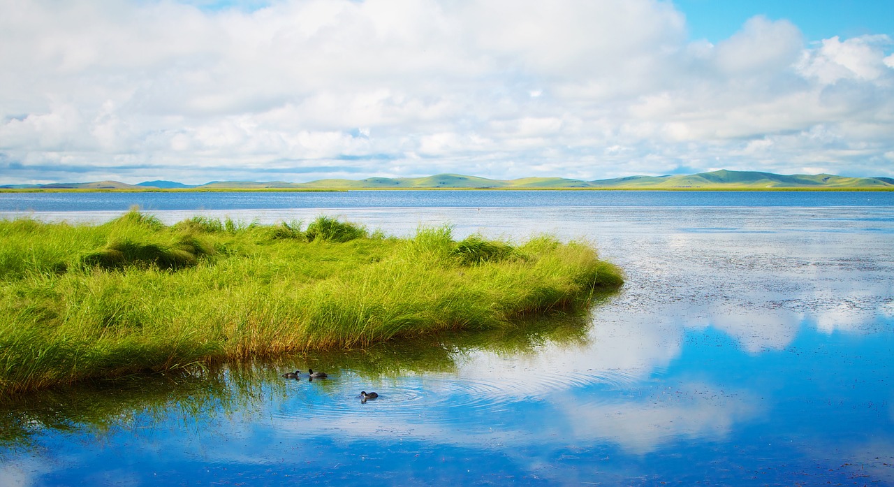 lake water nature free photo