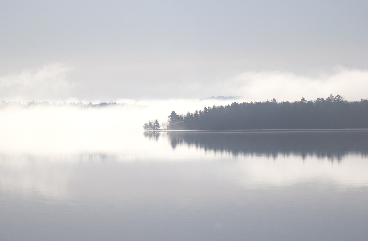 lake reflection trees free photo