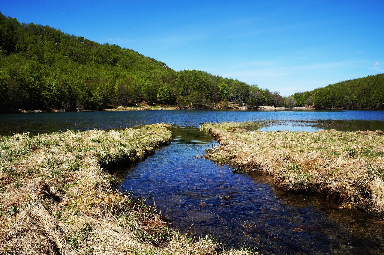 lake river torrent free photo