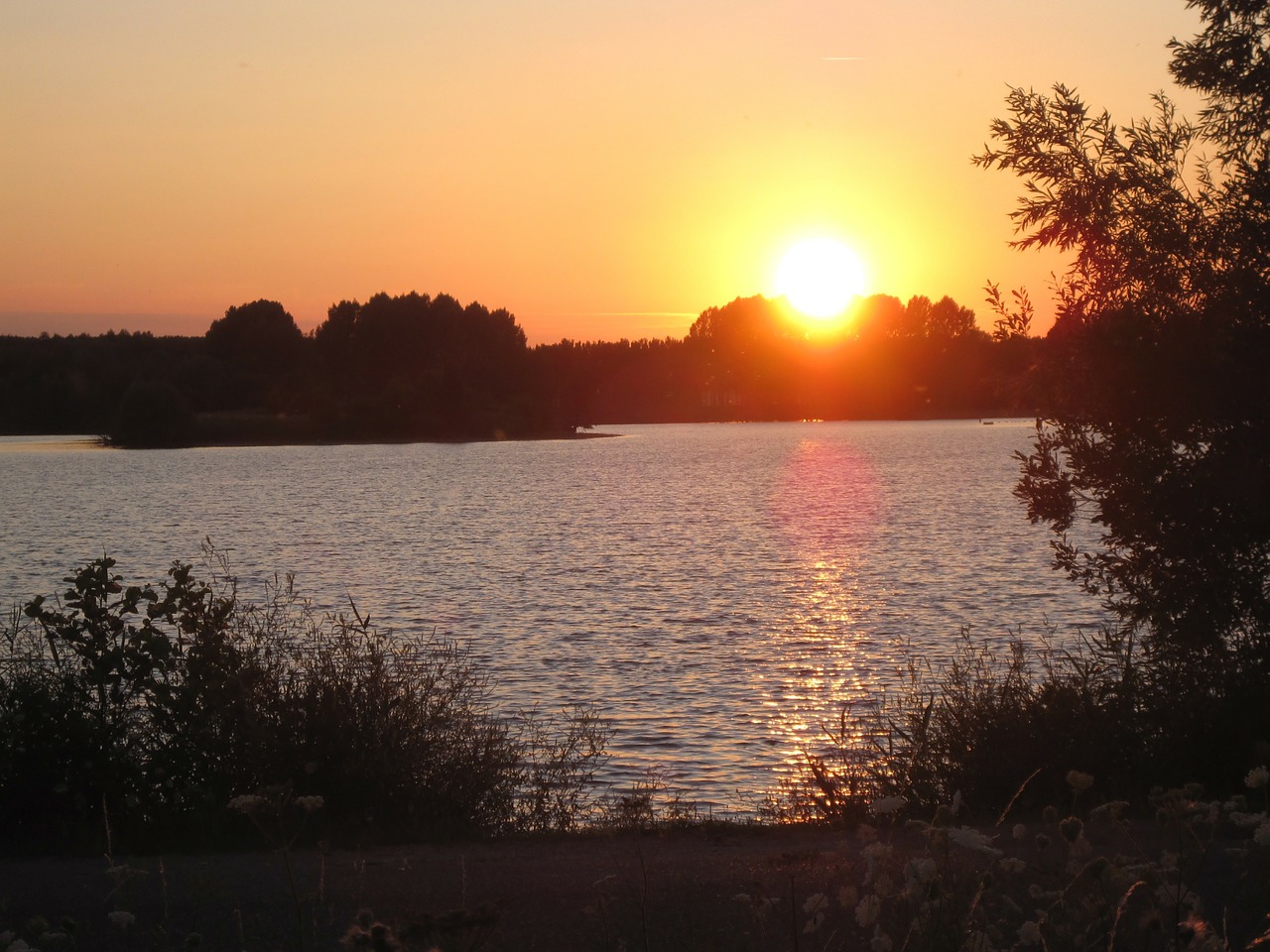 lake water forest trees free photo