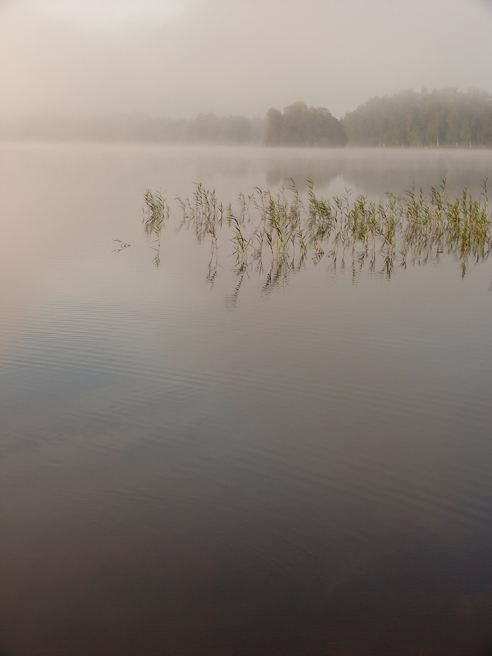 lake water nature free photo