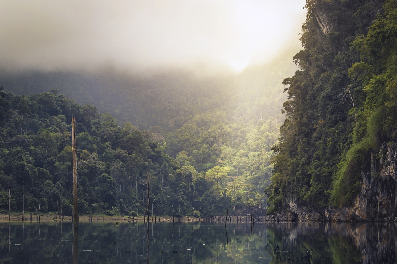lake rain forest tropical free photo