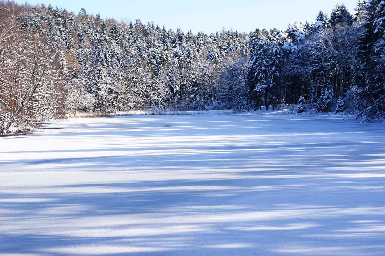 lake winter trees free photo