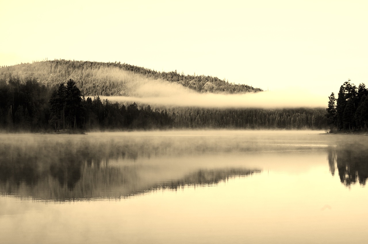 lake fog symmetry free photo