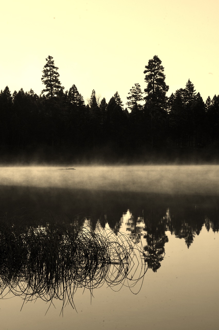 lake symmetry black and white free photo