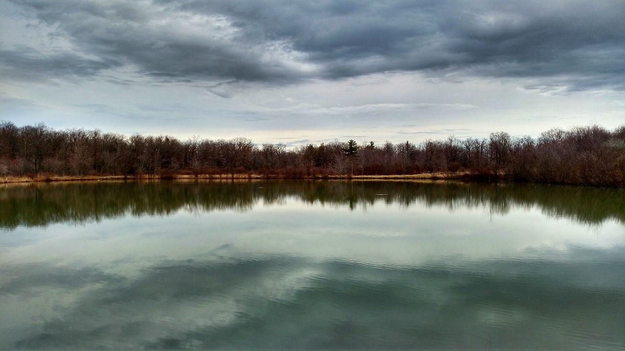 lake water clear free photo