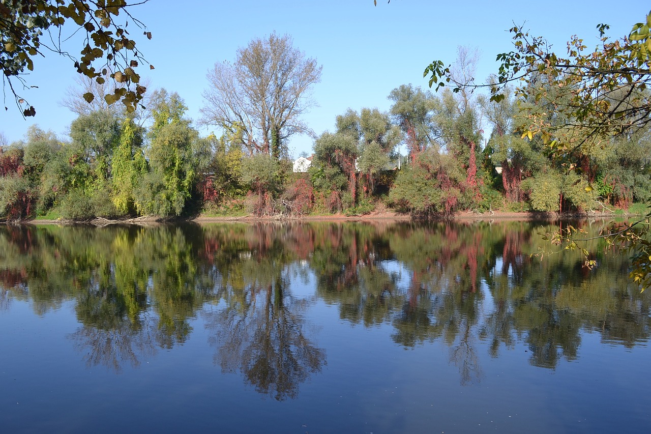 lake autumn nature free photo