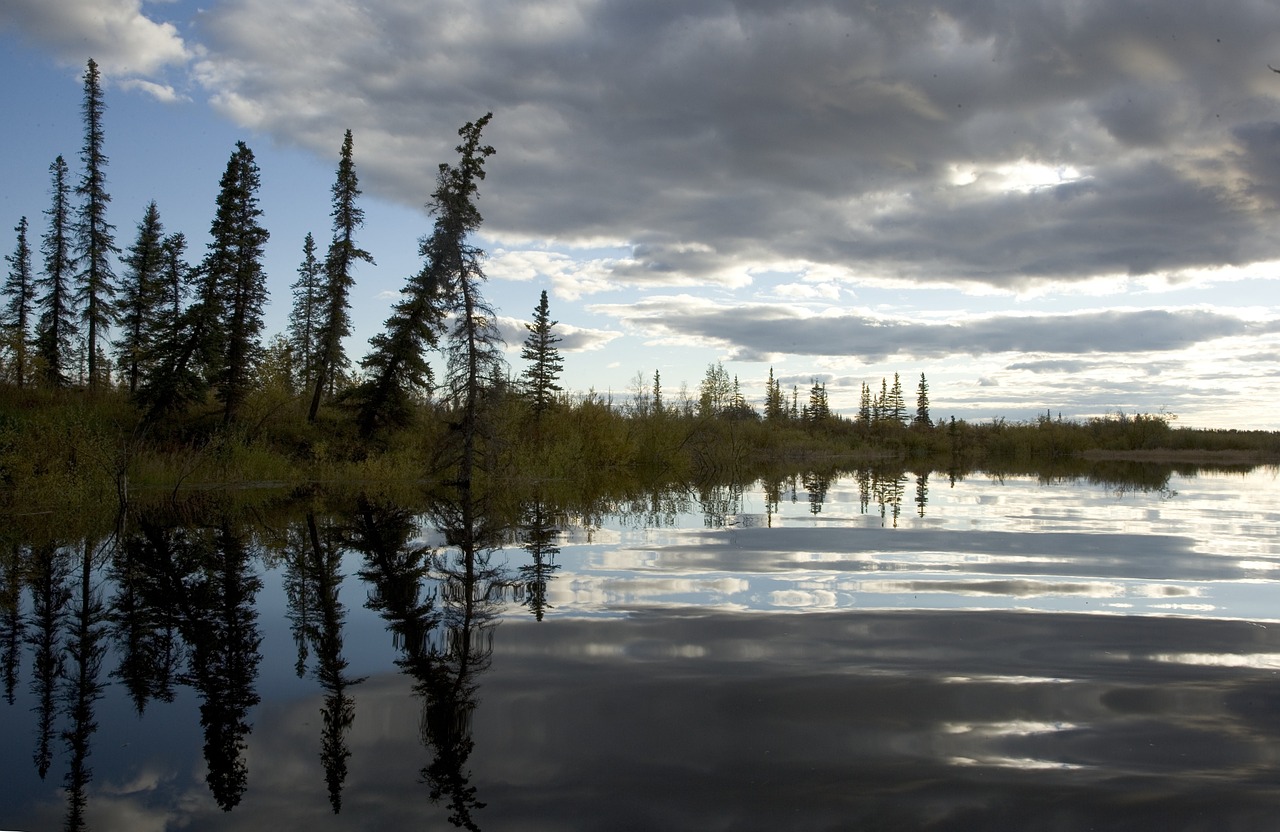 lake reflection trees free photo