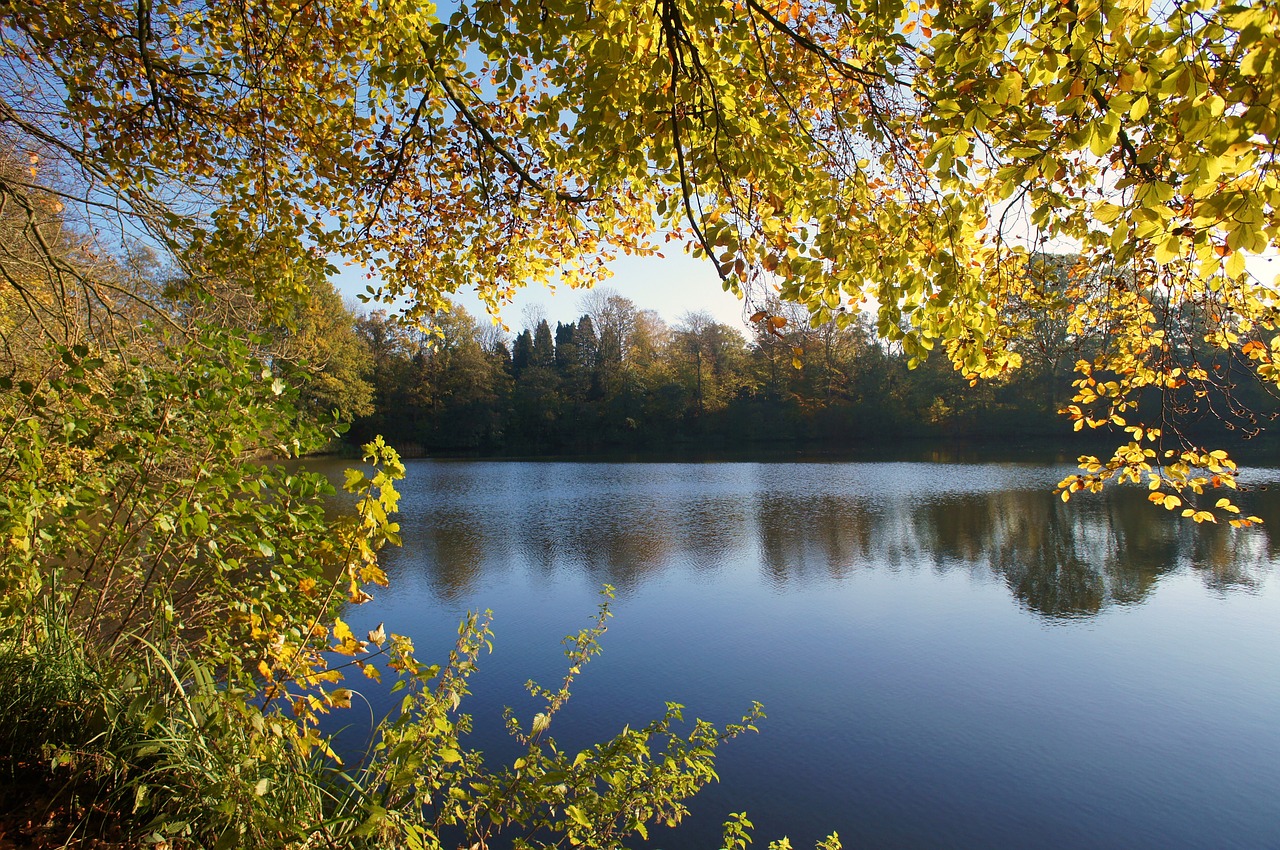 lake autumn trees free photo