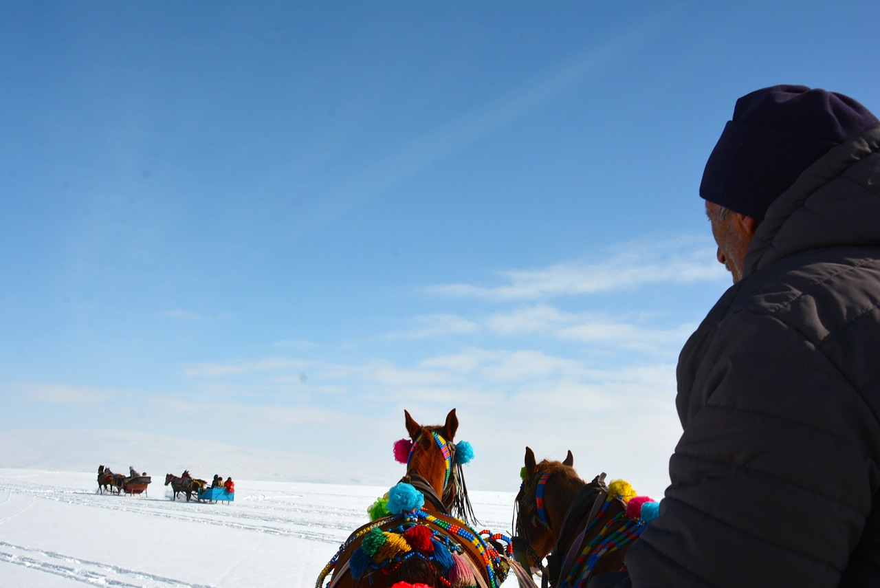 lake ice the horses are free photo