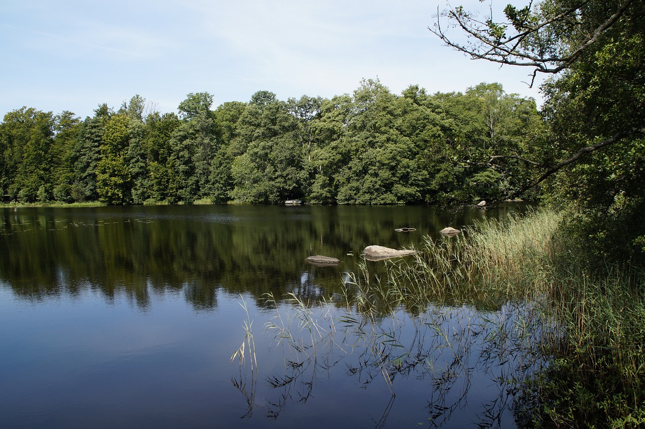 lake landscape sweden free photo