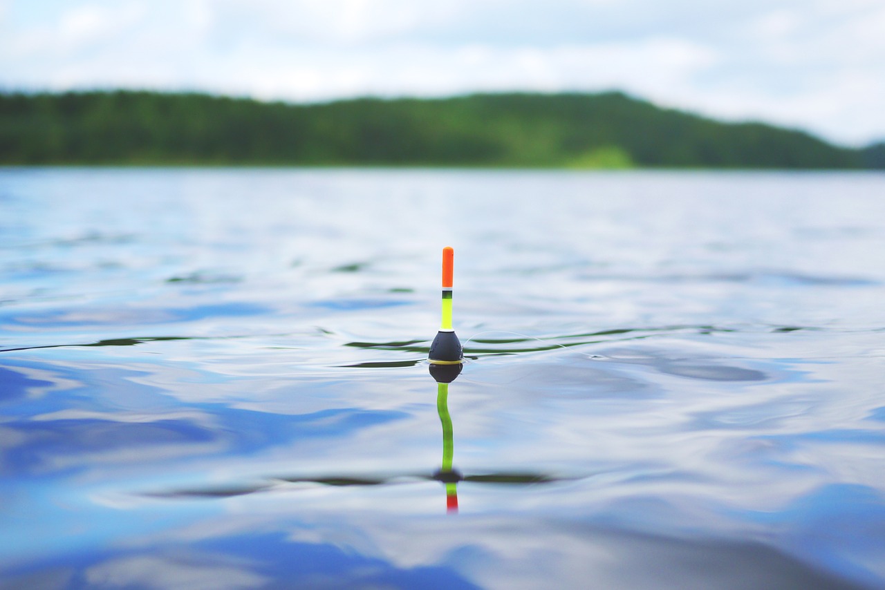 lake fish swimmer free photo