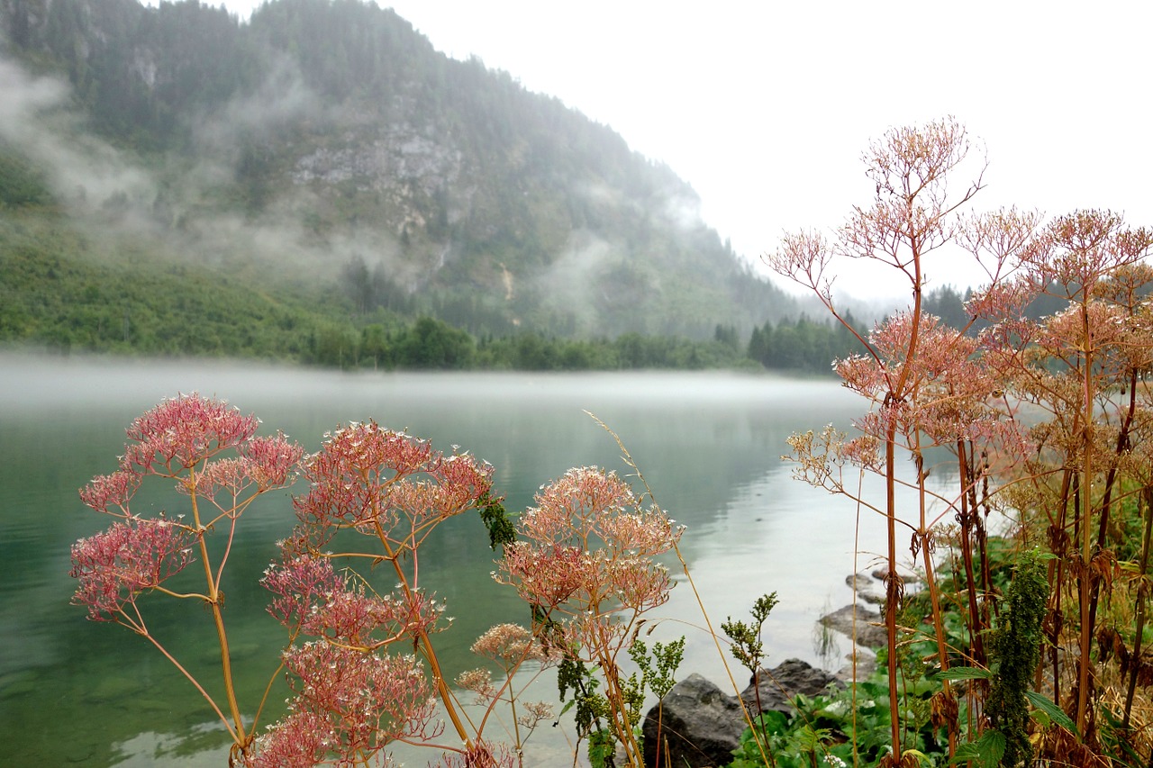 lake bergsee nature free photo