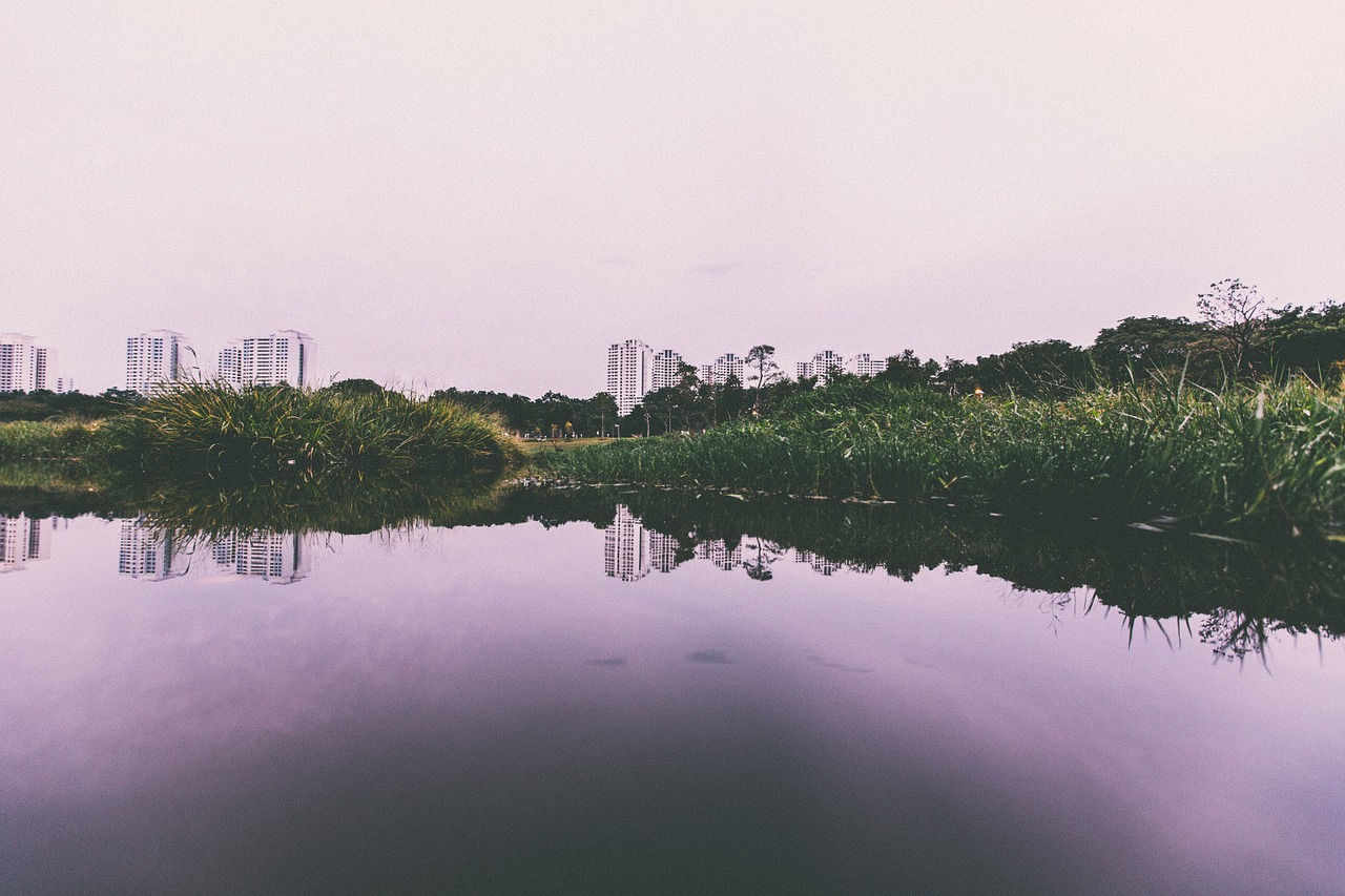 lake water reflection free photo