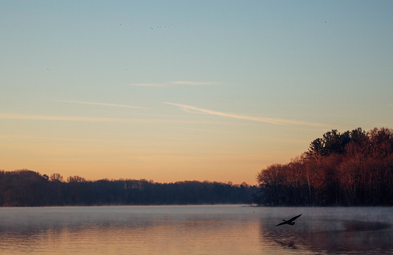 lake water morning free photo