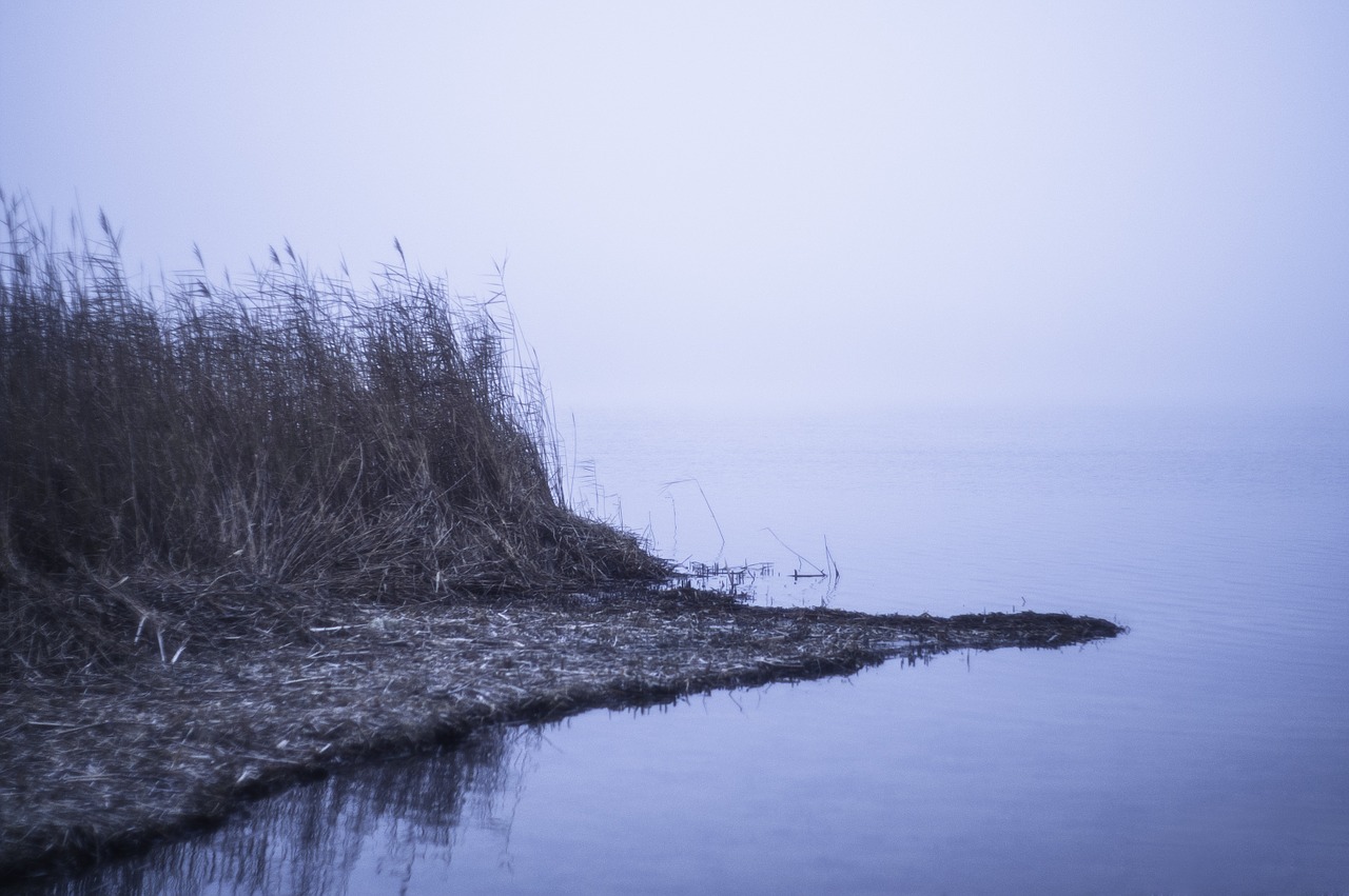 lake water foggy free photo
