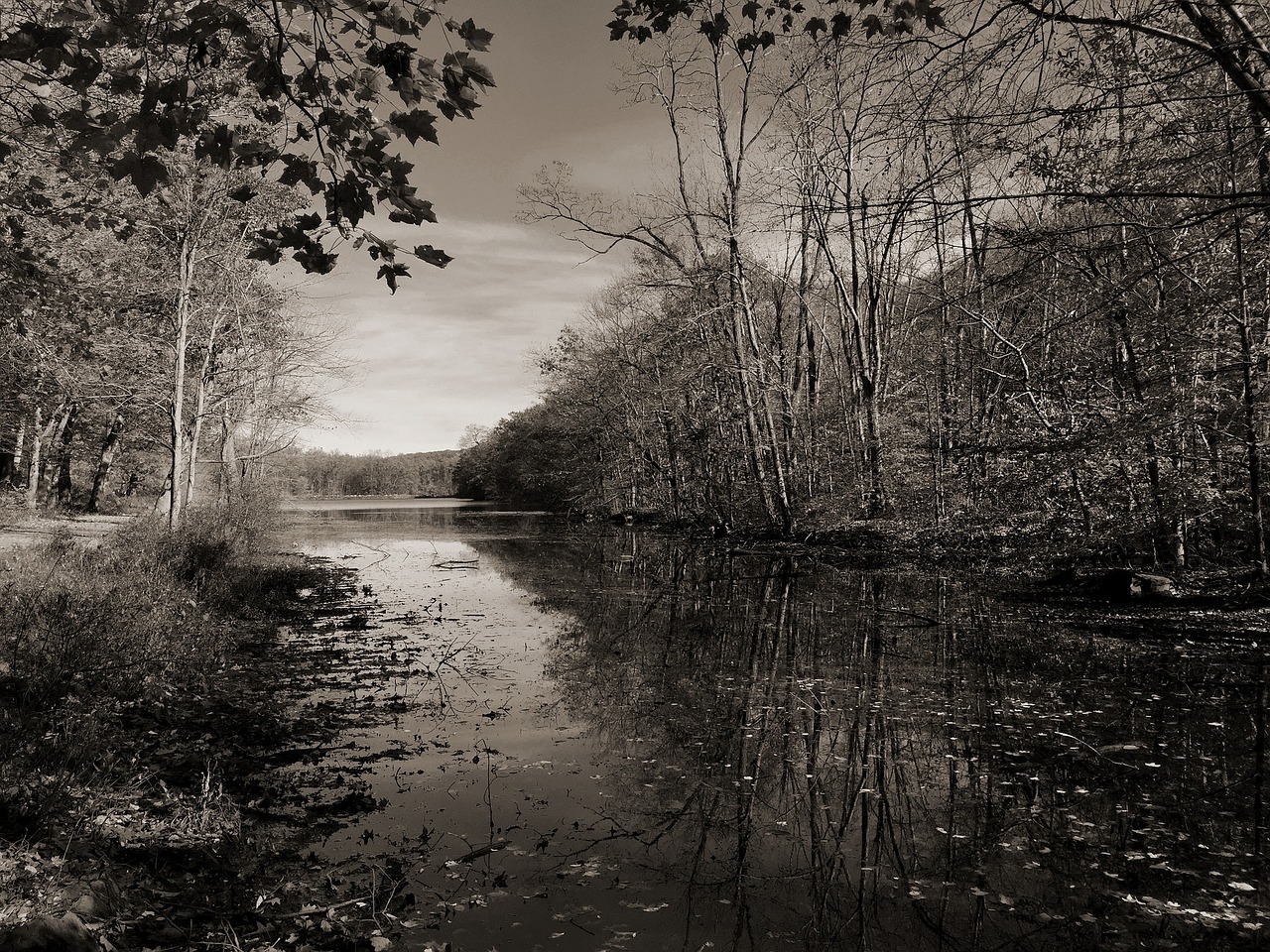 lake water black and white free photo