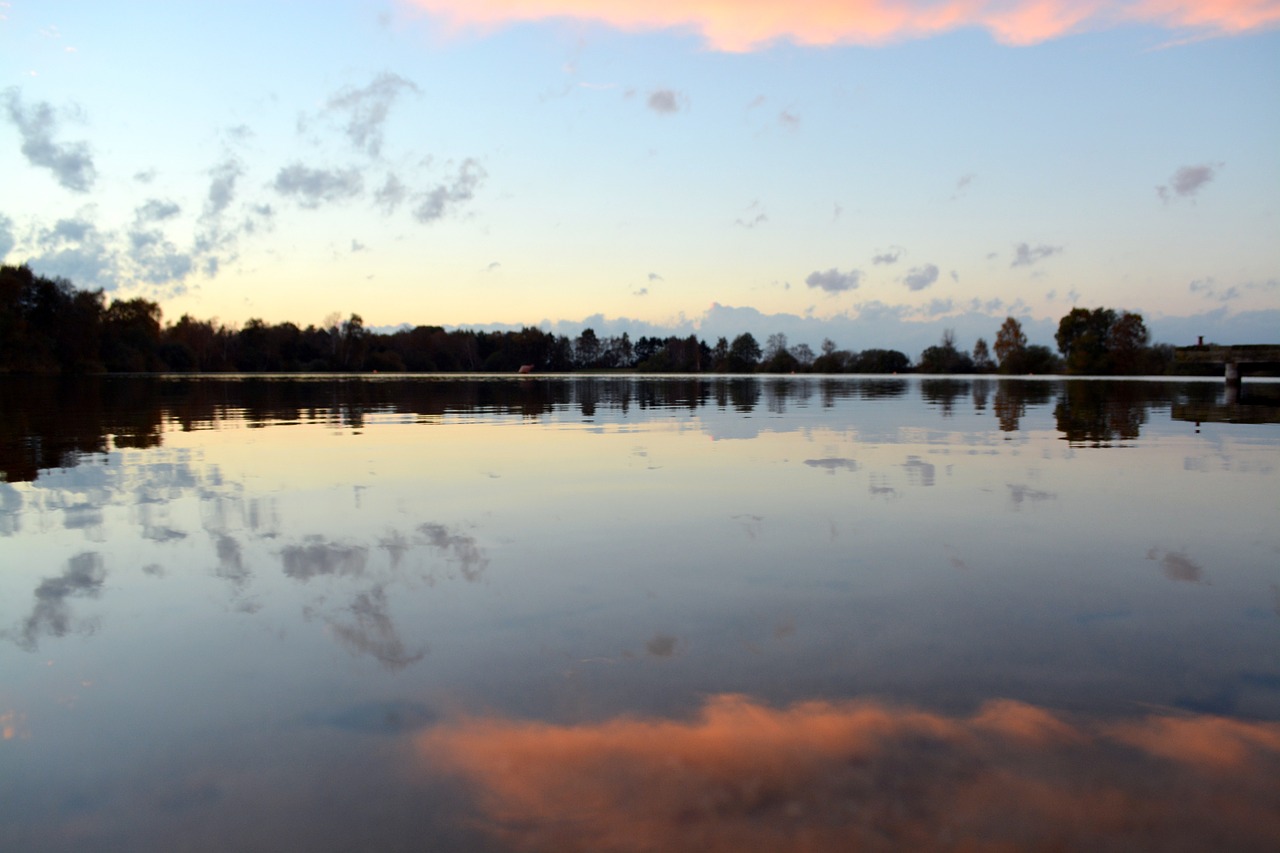 mirroring water nature free photo