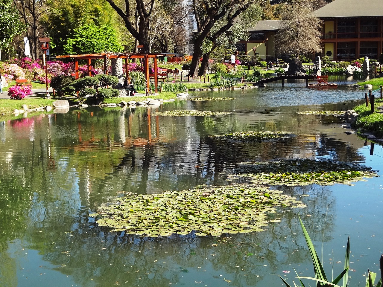 lake japanese garden buenos aires free photo