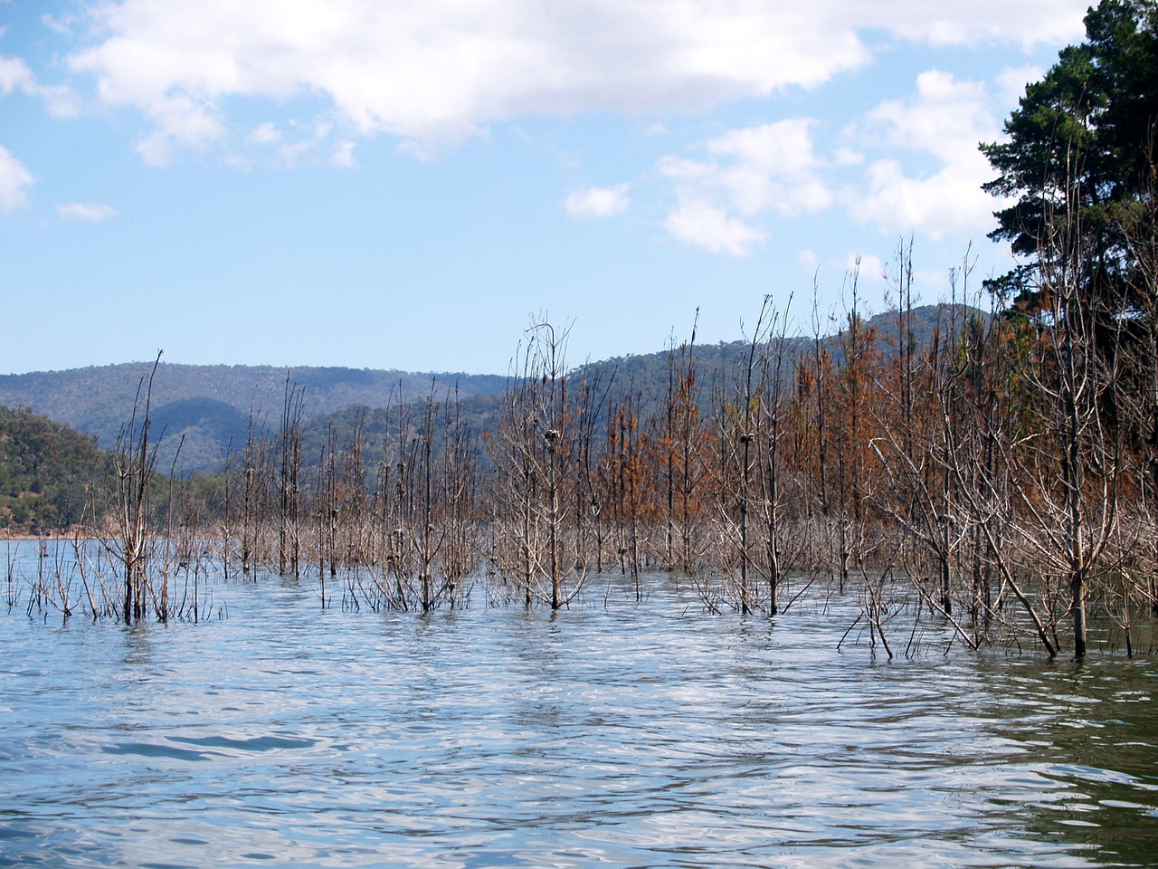 lake eildon flood free photo