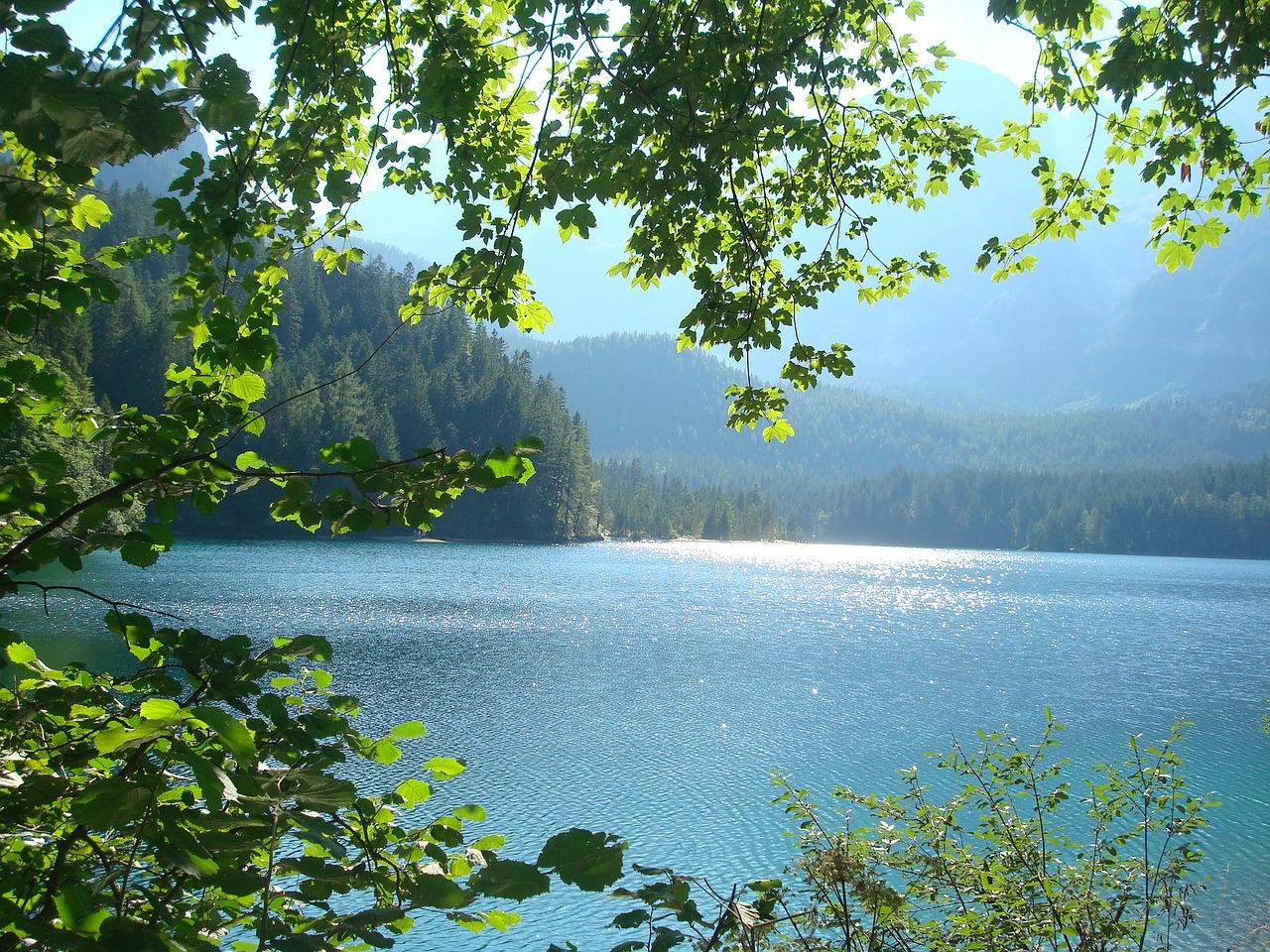 lake view calming free photo