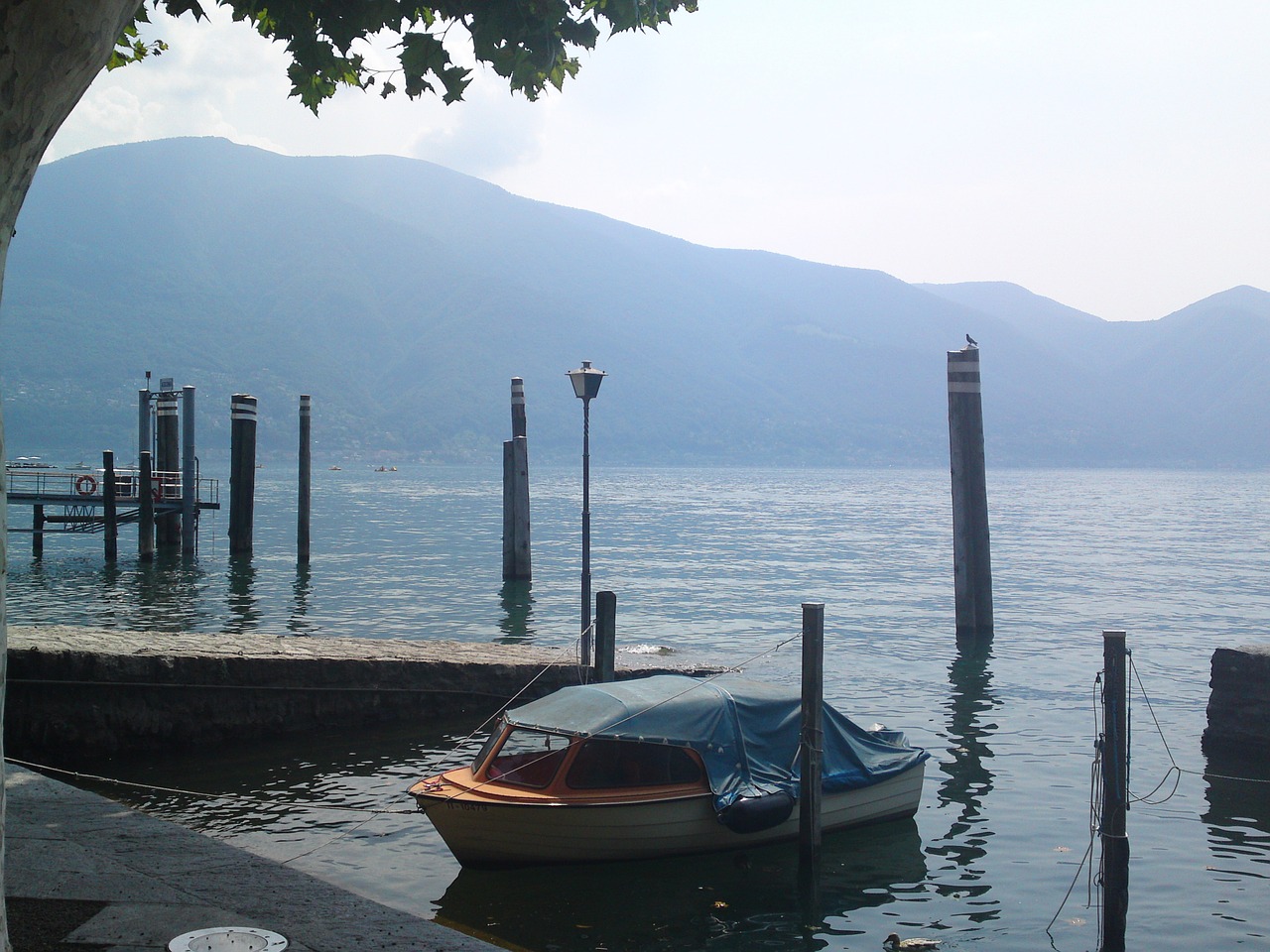 boats water riverside free photo