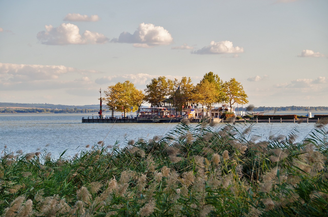 lake balaton reed free photo