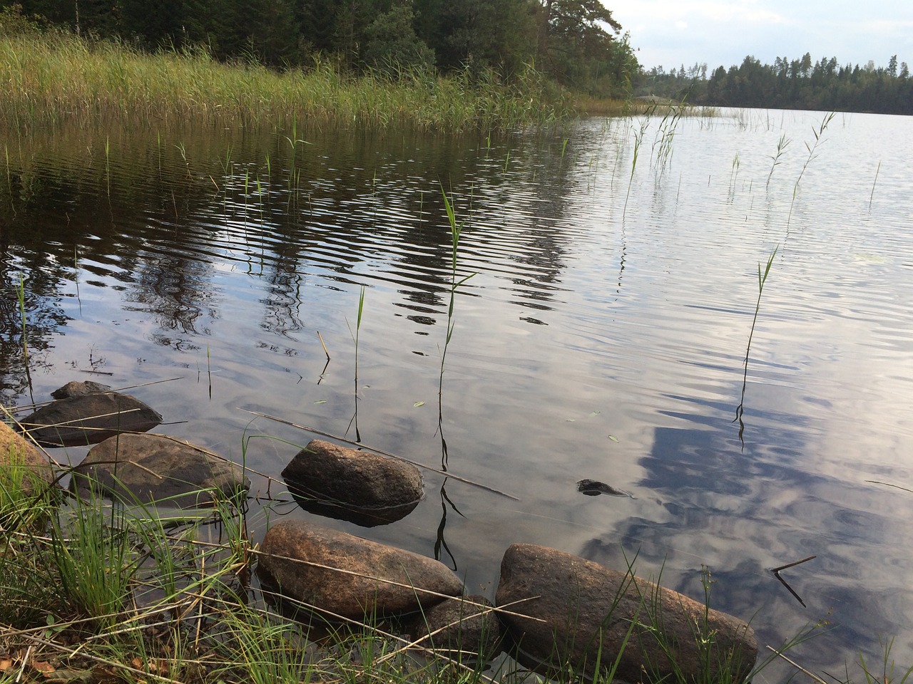 lake mirroring water free photo