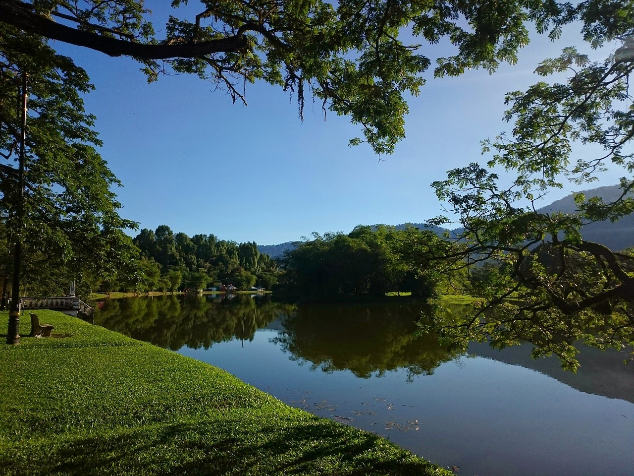 lake morning green free photo