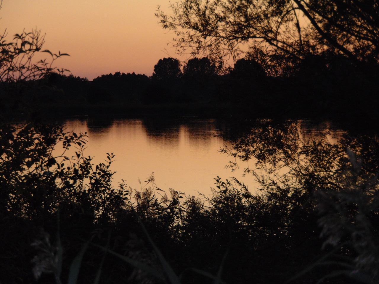 lake sun sunset free photo