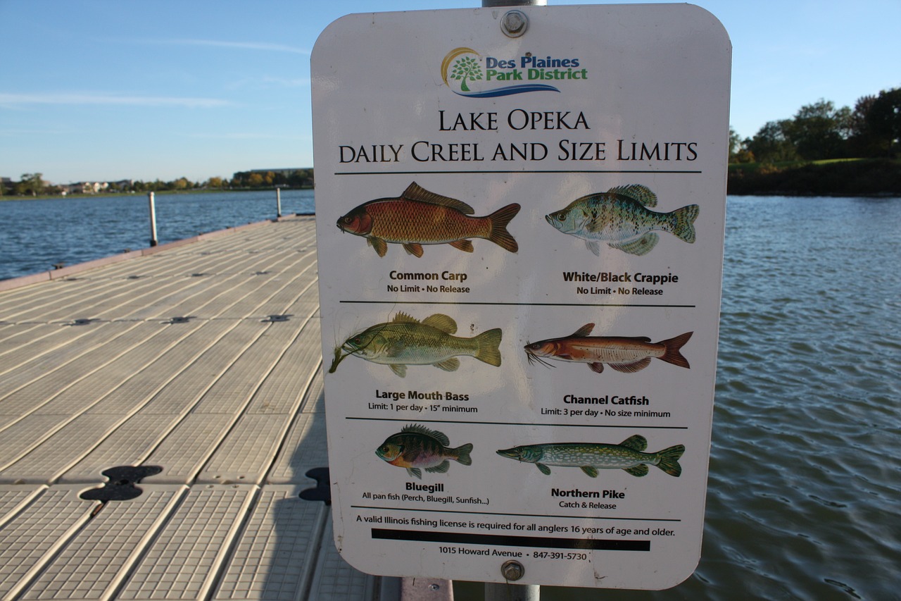 lake fishing autumn free photo