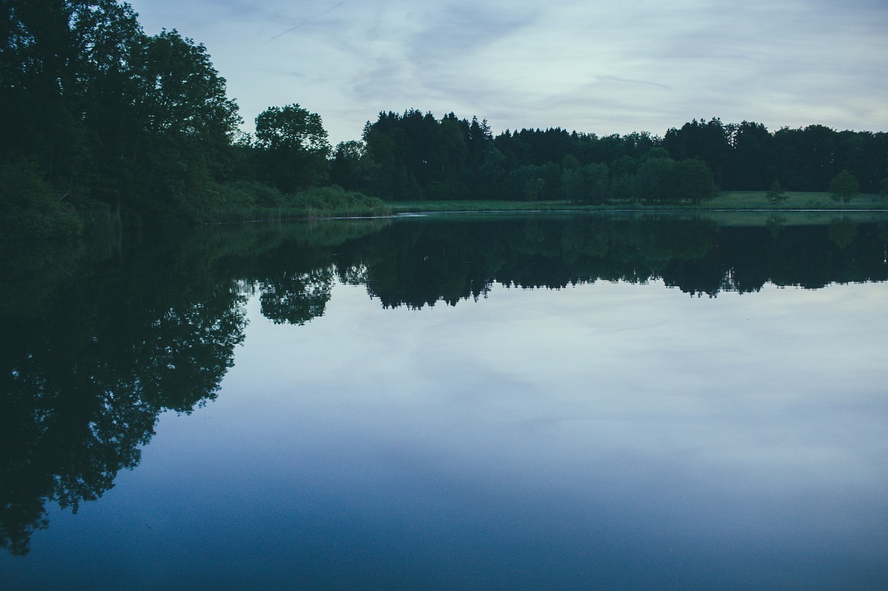 lake pond glassy free photo