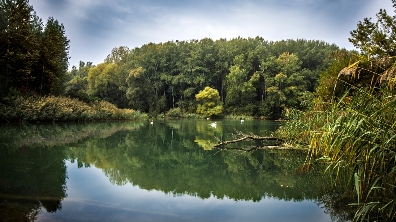 lake water nature free photo