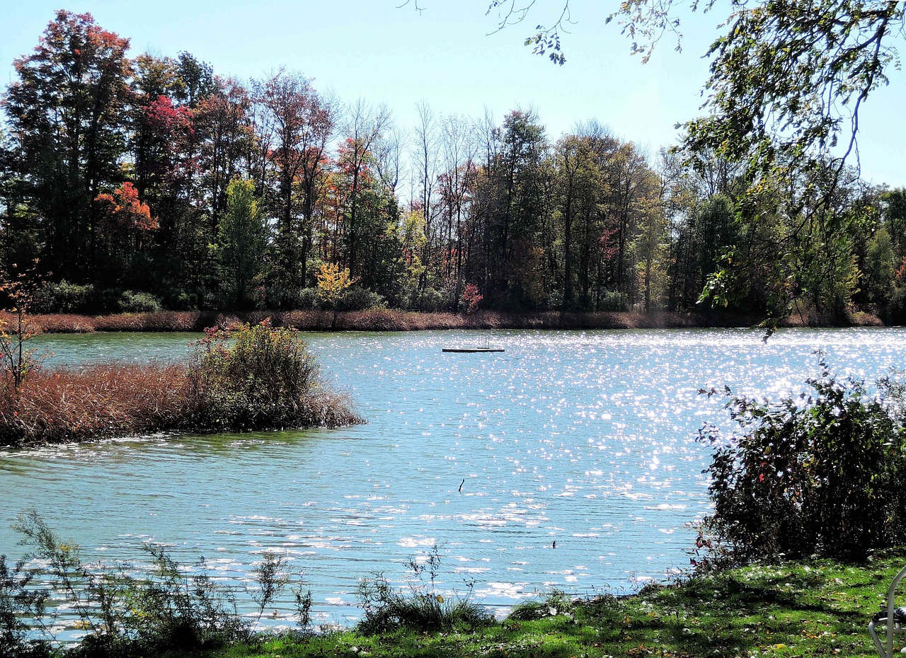 lake sparkling fresh water free photo