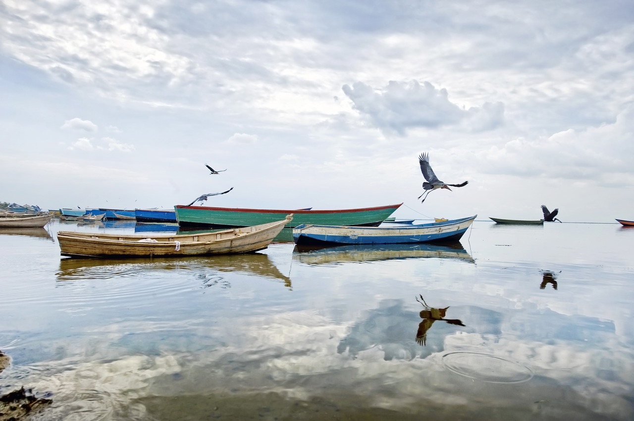 lake albert uganda africa free photo