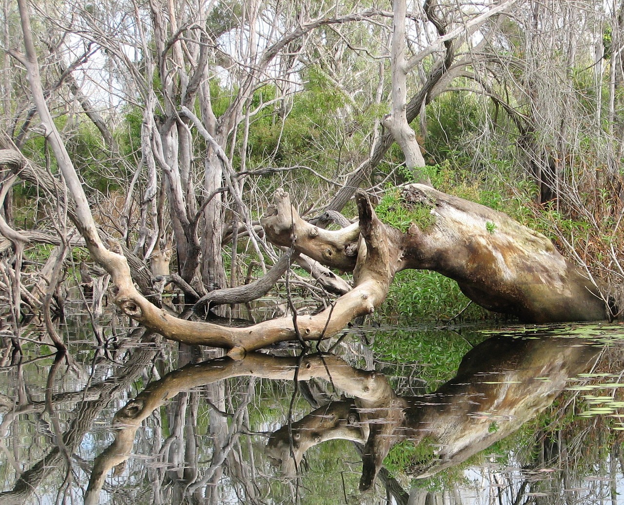 lake awoonga queensland australia free photo