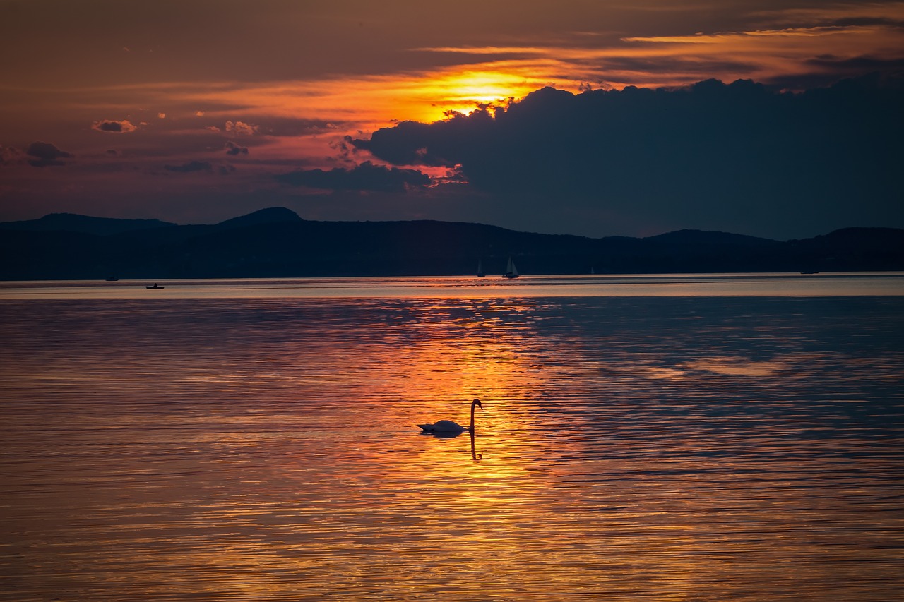 lake balaton sunset nature free photo